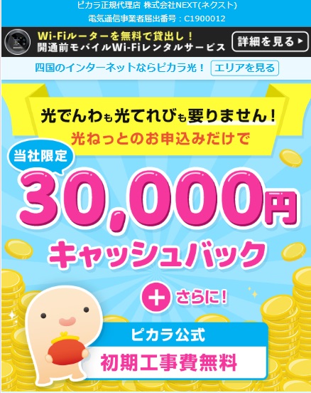 ピカラ光